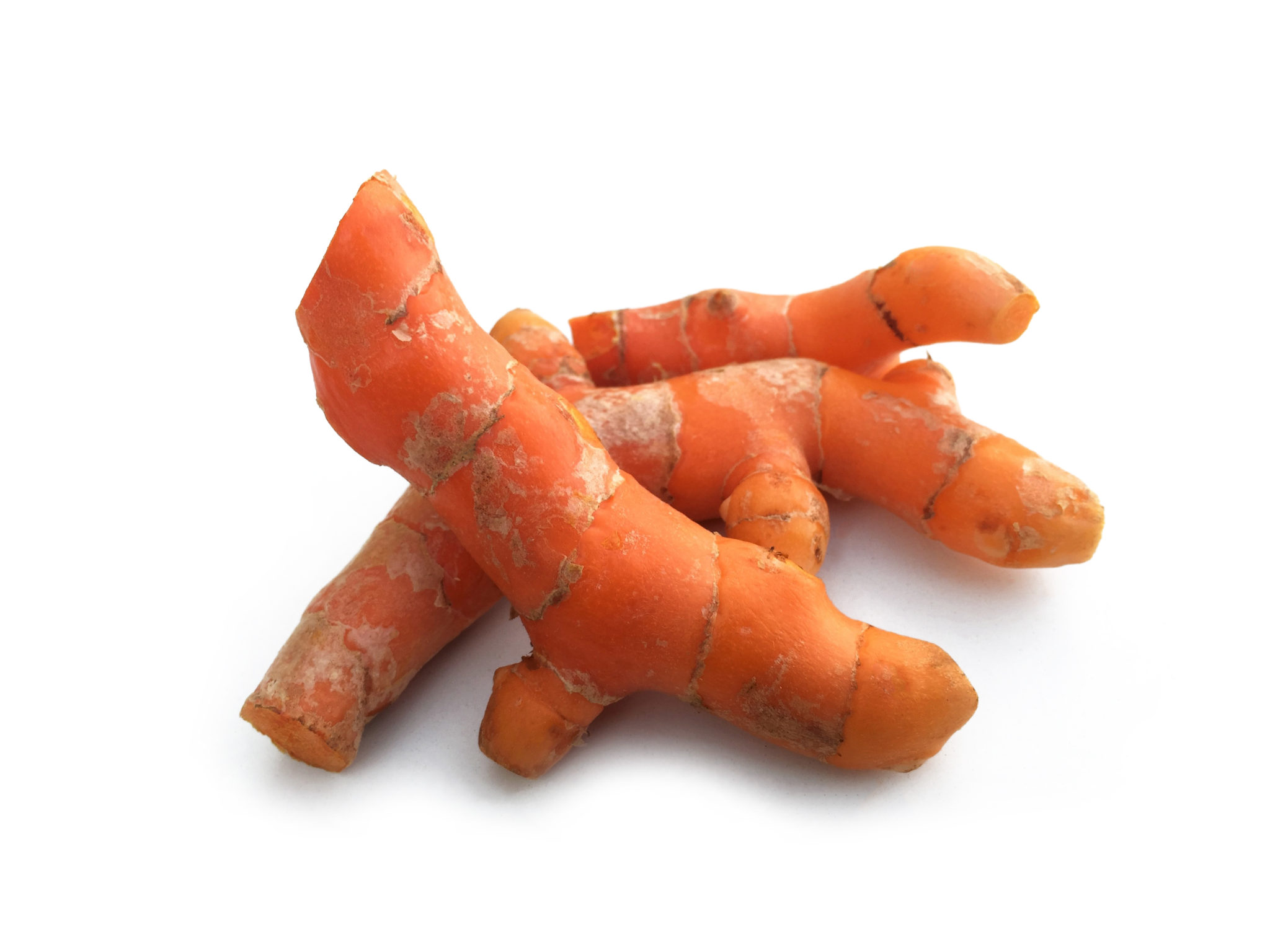 Turmeric Koerner Agro Export Center