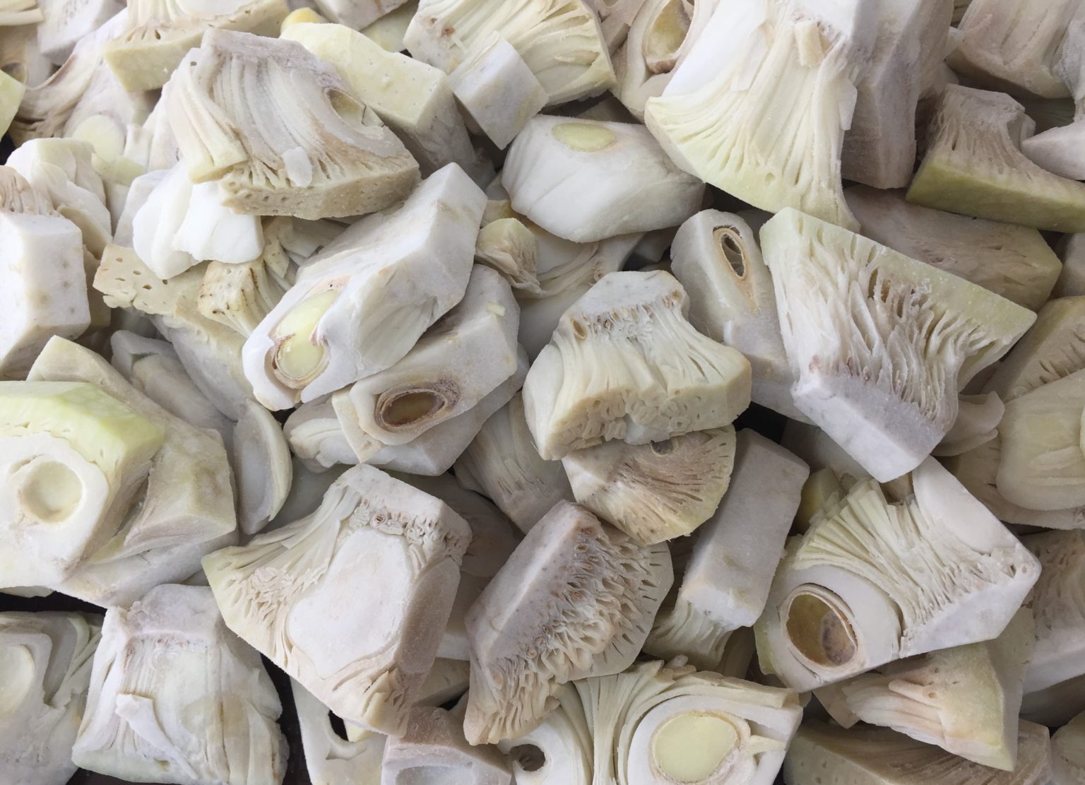 Frozen young jackfruit, chunks Koerner Agro Export Center