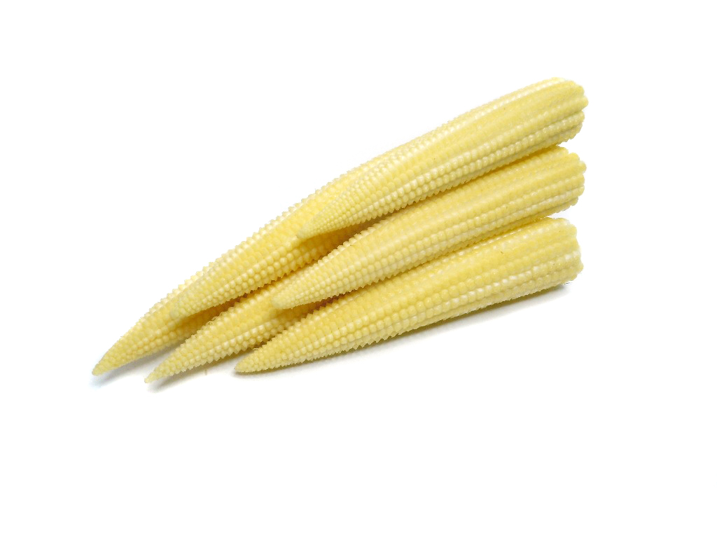 Baby Corn Koerner Agro Export Center Baby Corn Koerner Agro Export Center